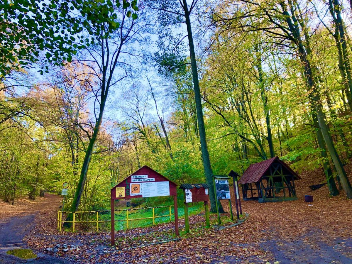 Las Slupski Premium Apartament Nr6 Wifi Netflix Smart Tv50 Two Bedrooms Two Extra Large Double Beds Up To 6 People Full Pleasure Quality Stay (Adults Only) Eksteriør bilde